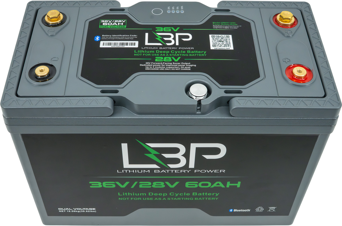 LBP 36V/28V 60Ah Dual Terminal Lithium Battery V1G